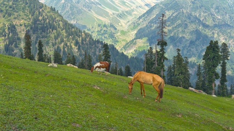 Imagem A